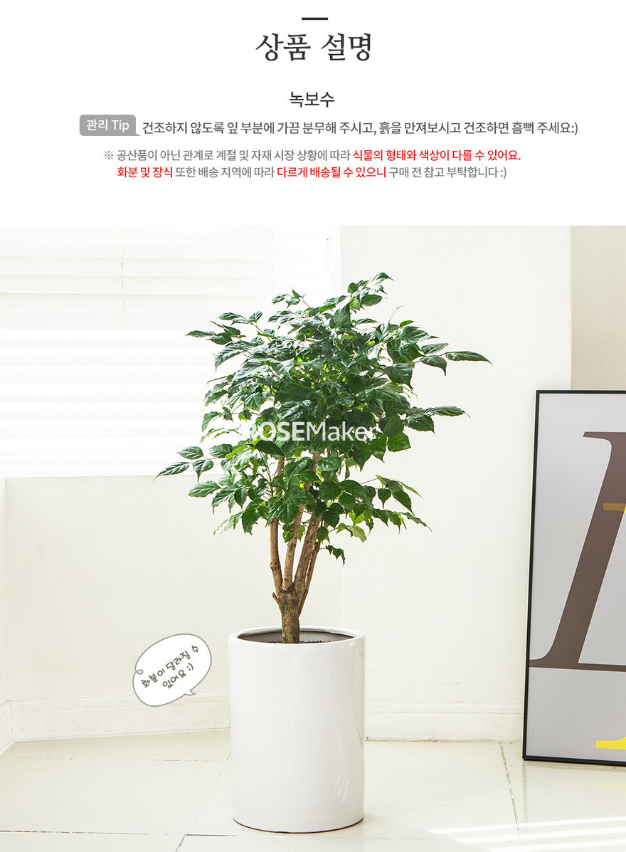 상세이미지